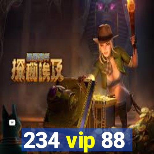 234 vip 88